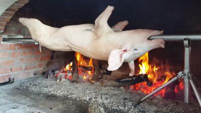 Heo Quay Ngon Nhất Sài Gòn – Đặt Ngay Tại Vifood Giao Nóng Tận Nơi