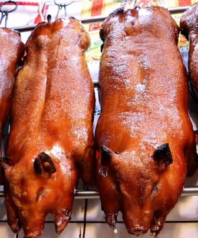 Heo sữa quay, heo quay nguyên con các loại - Giao hàng tận nơi