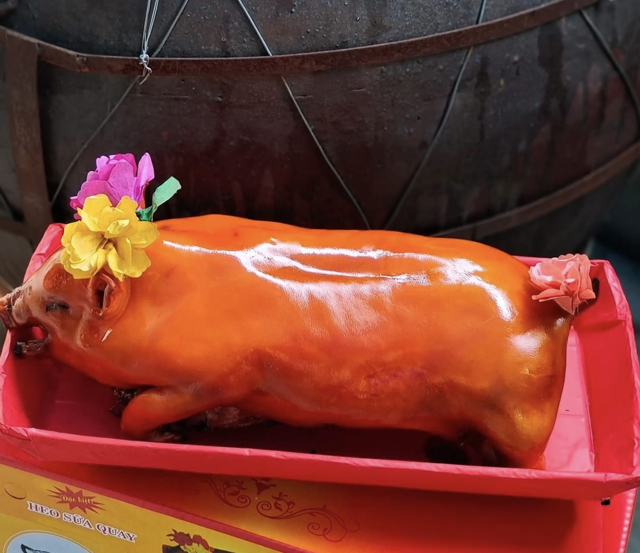 Heo Sữa Quay 2,5 - 3 Kg Tặng Dưa Cải Bánh Bao Chiên - LIA - GIA BẢO KÝ