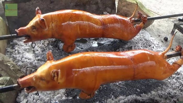 Danh sách 5 cửa hàng heo sữa quay nổi tiếng và chất lượng hàng đầu tại Đà Nẵng - Mytour.vn | Mytour