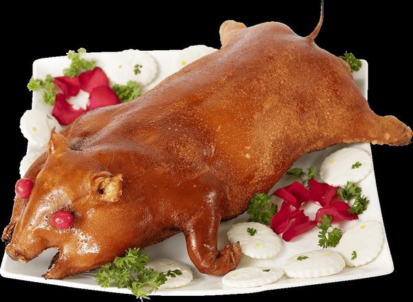 Heo sữa quay | Heo quay nguyên con