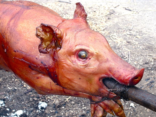 Ấn tượng với món heo quay tại Thủ Đức của Hog Roast