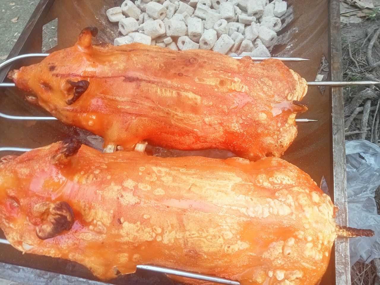 Heo sữa quay | Heo quay nguyên con