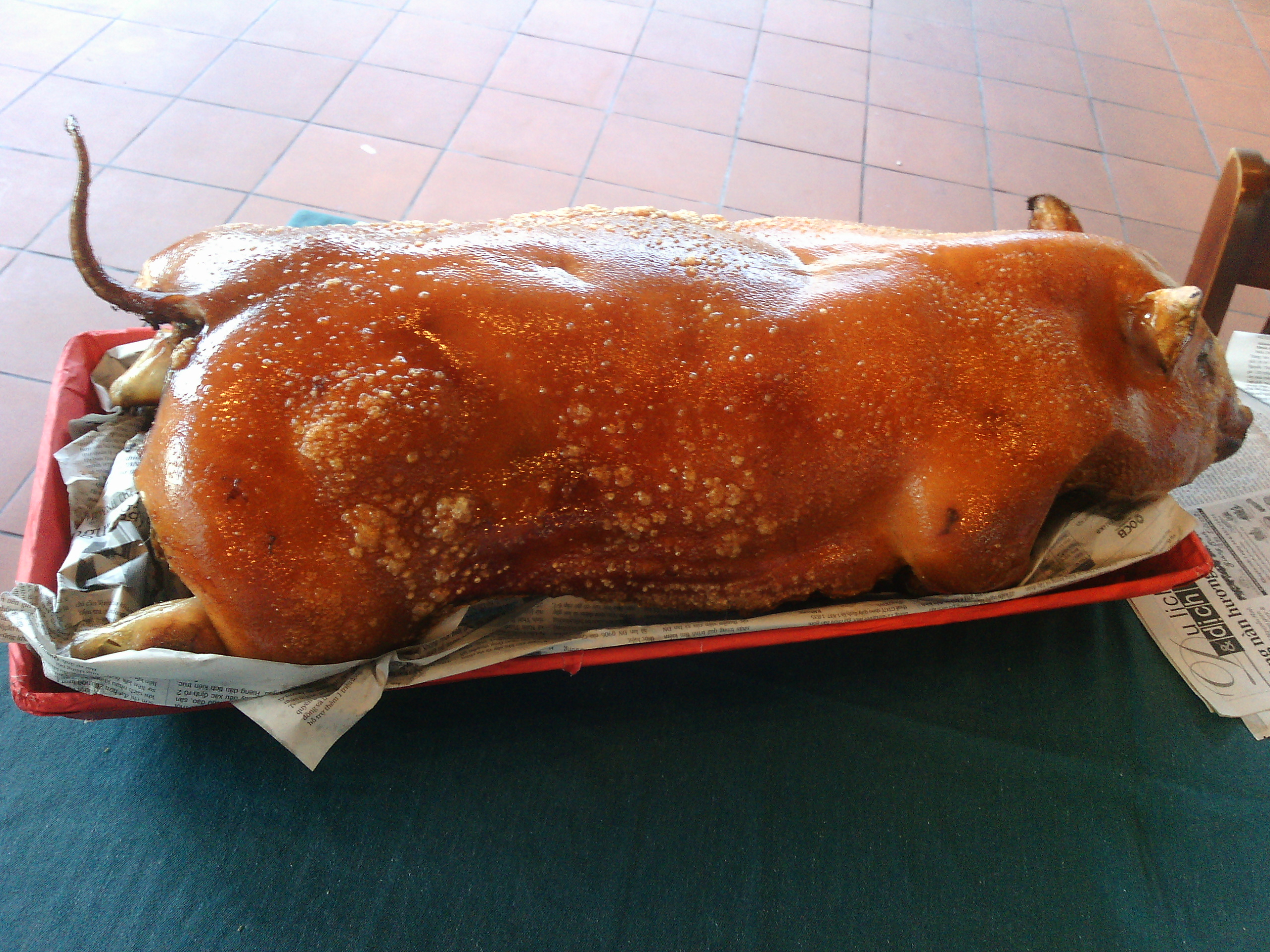 Heo tộc quay nguyên con