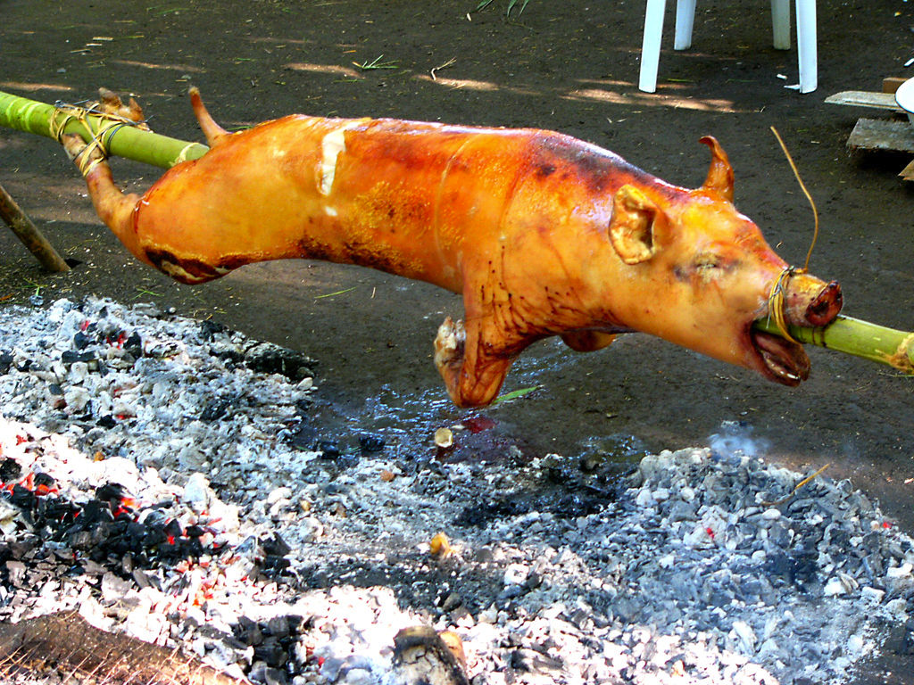 Không qian của heo quay Tân Bình