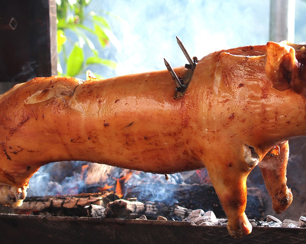 Tân huyết của đầu bếp làm heo quay tại Quận 4